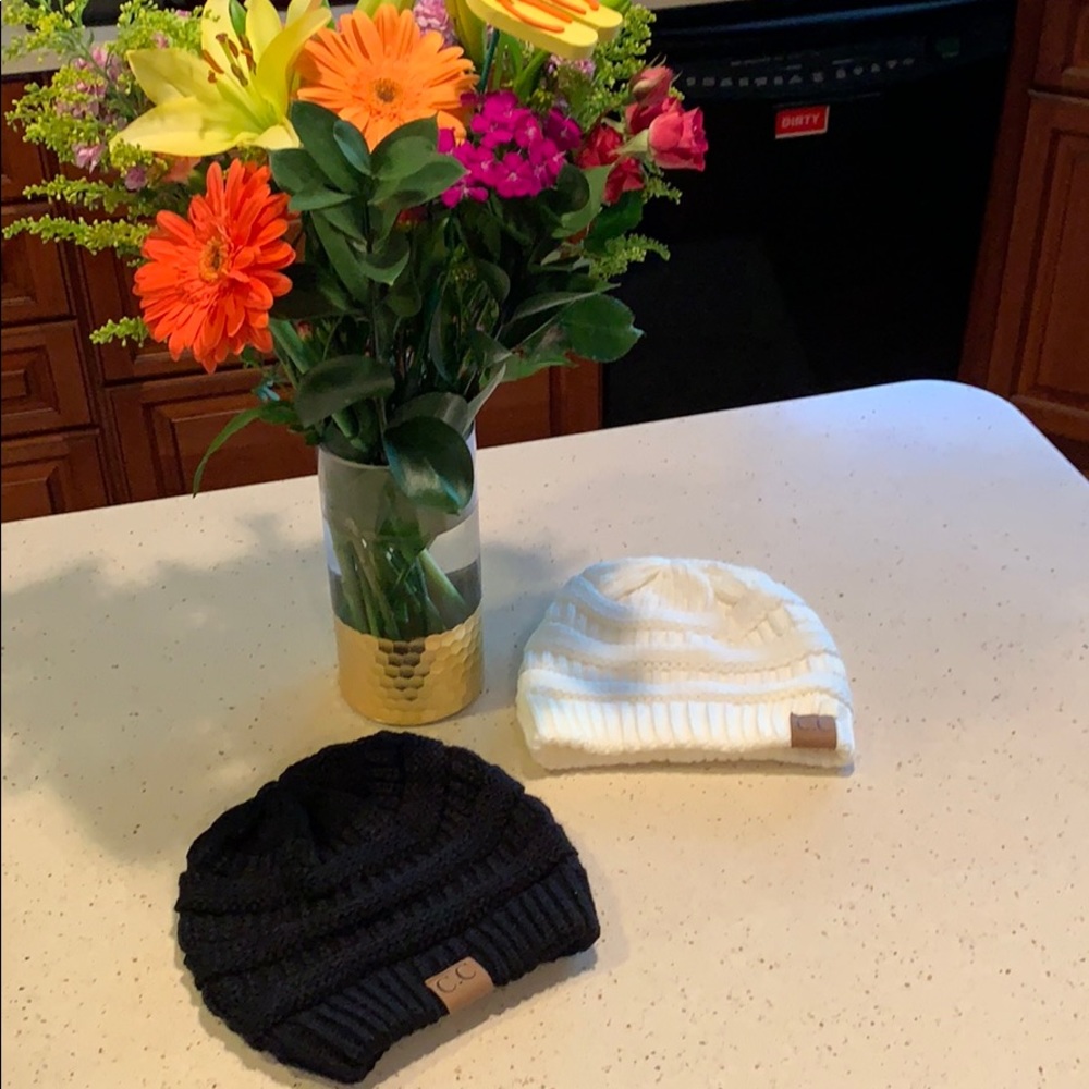 Winter Hats- Lot of 2
